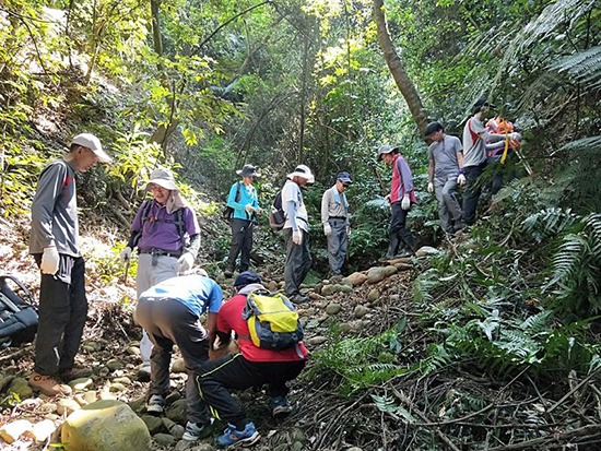苗栗樂活通霄 福和里山-山林之療