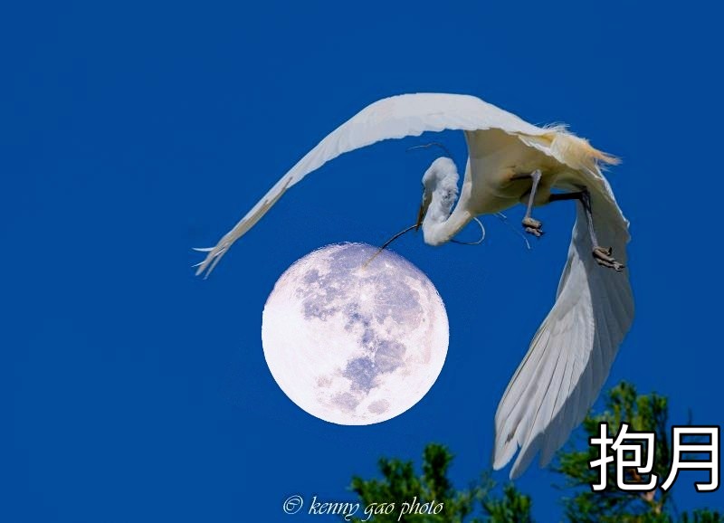 聽眾信箱