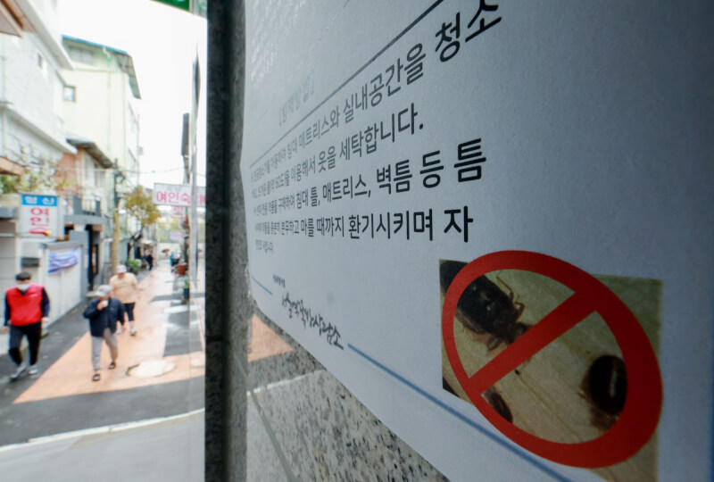 旅遊中的蟲蟲危機
