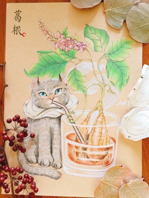 中藥插畫家毛郎中，帶你進入本草療癒的迷人世界