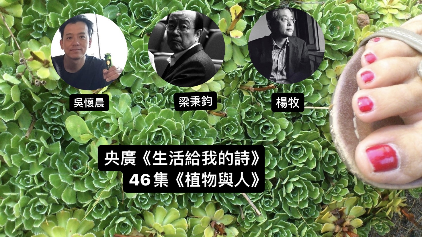 詩人． 導演鴻鴻談  植物與人─楊牧、梁秉鈞、吳懷晨
