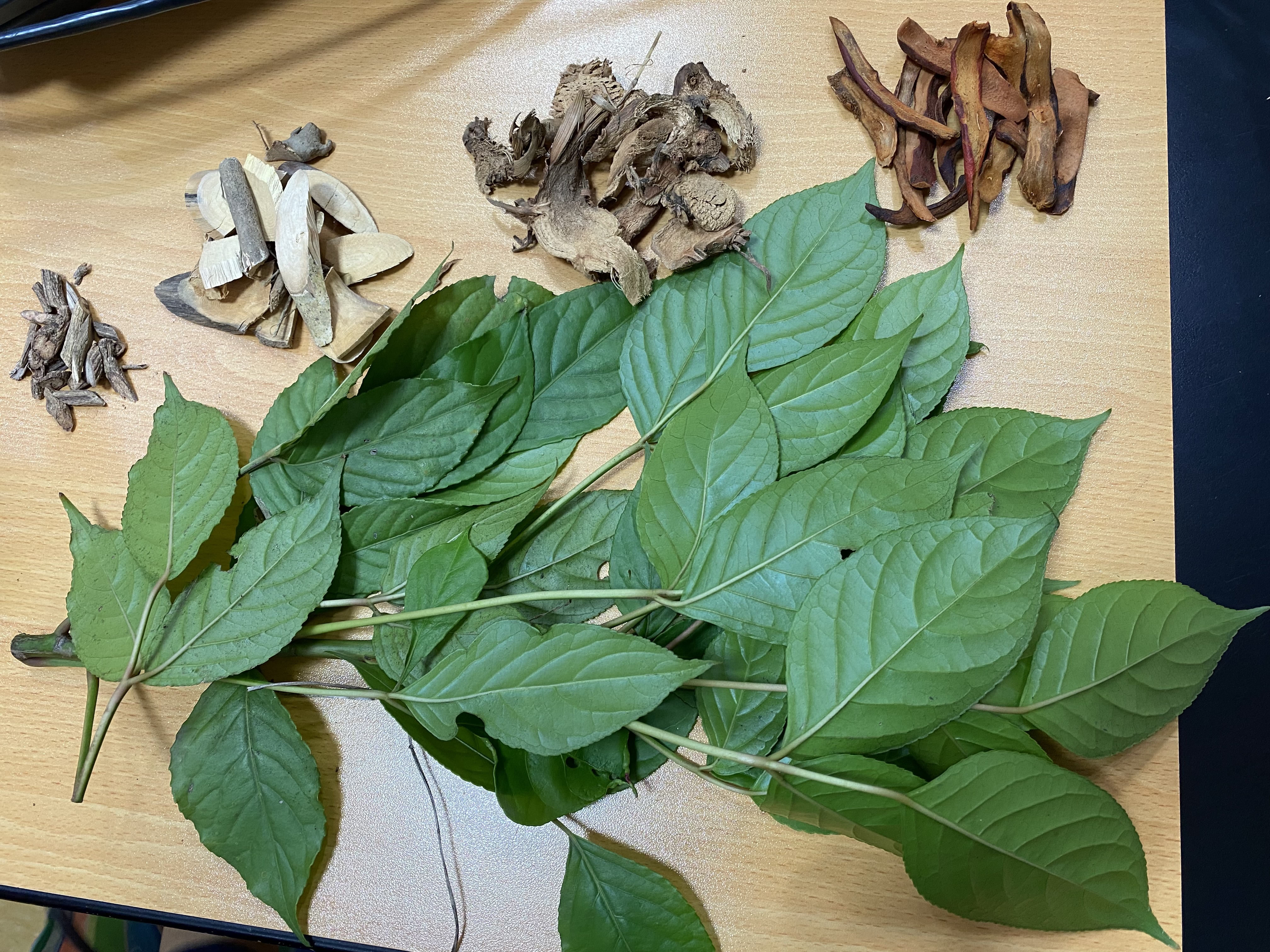 每週來點「銀幸」吧