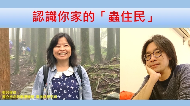 認識你家的「蟲住民」