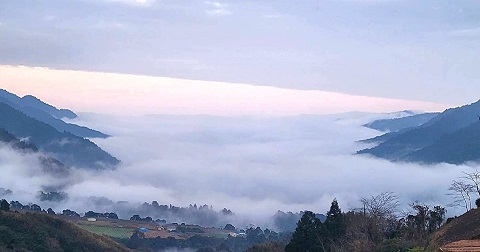 宜蘭秘境「亞爸的山」，盡賞四季的精采！