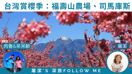 台灣櫻花季｜賞櫻好去處！福壽山農場、司馬庫斯櫻花海盛開中！