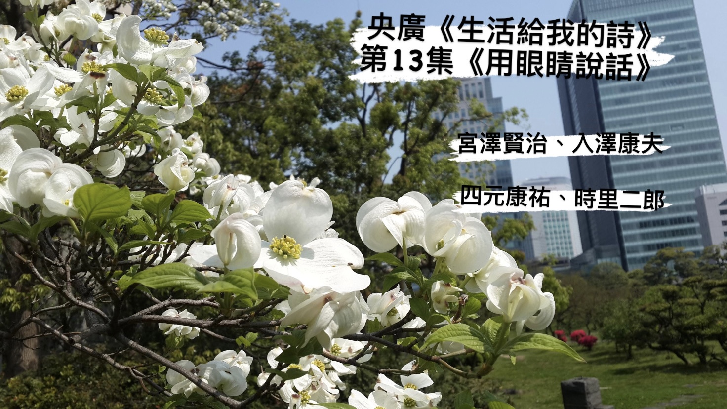 詩人煮雪的人與鴻鴻  談用眼睛說話