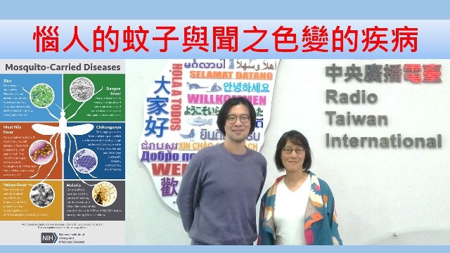 惱人的蚊子與聞之色變的疾病