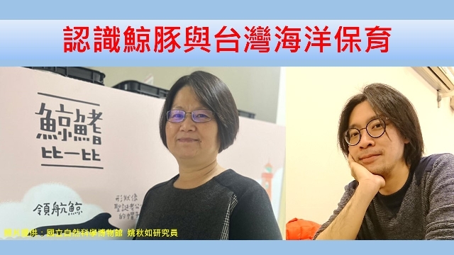 認識鯨豚與台灣海洋保育