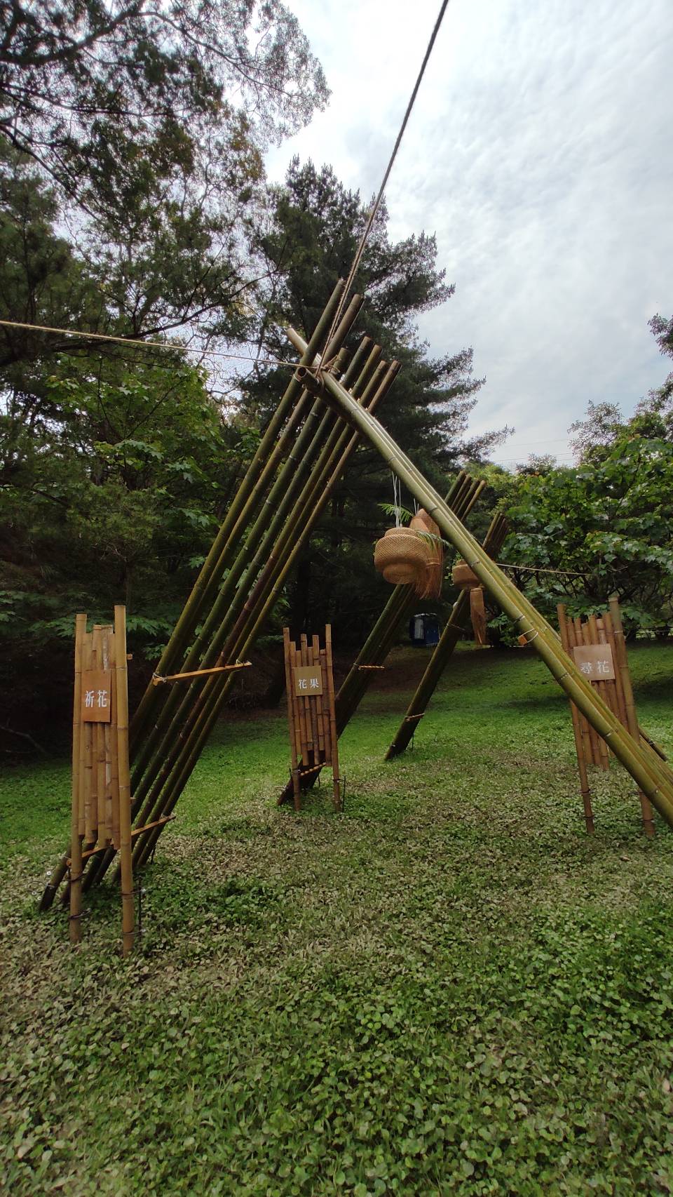 桐舟共聚之祈花、尋花、花聚、花果，體驗不一樣的桐花祭