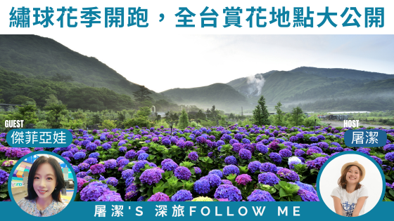 台灣繡球花季｜賞花地點大公開，準備迎接繽紛一夏！
