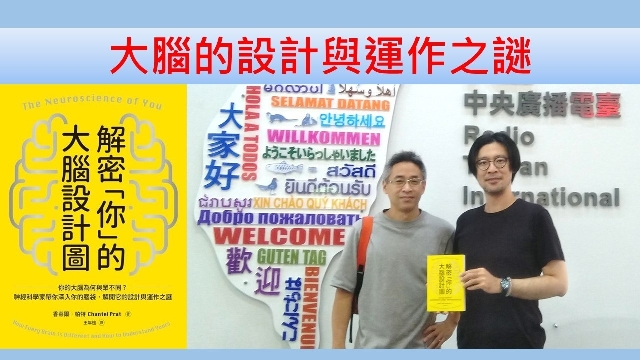 大腦的設計與運作之謎