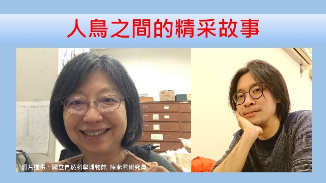 人鳥之間的精采故事