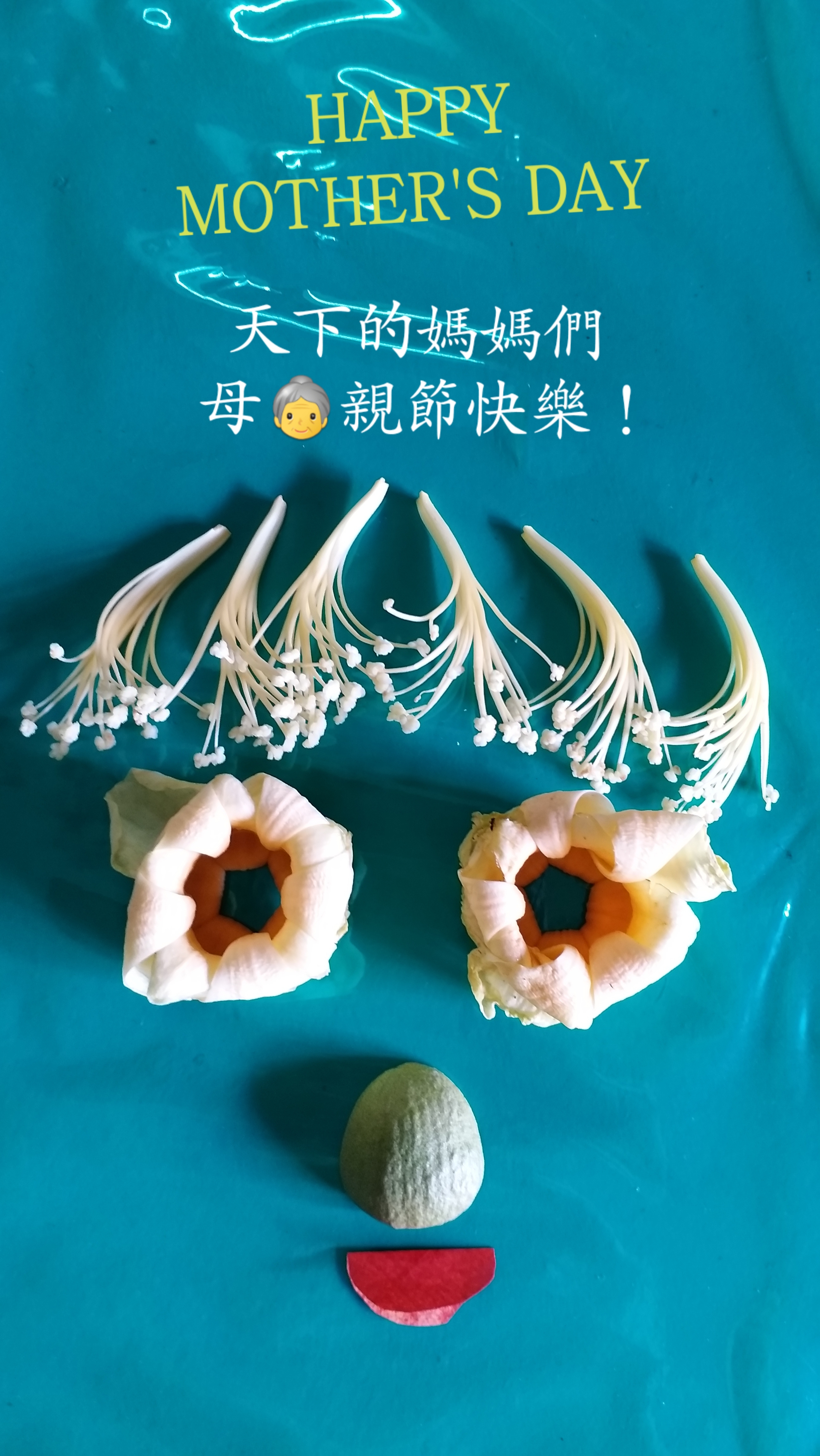 中華民國第16任總統副總統就職，國家新氣象