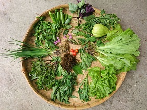 「舞春」─說食物背後故事的食農教育團隊