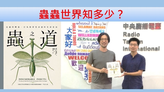 蟲蟲世界知多少？