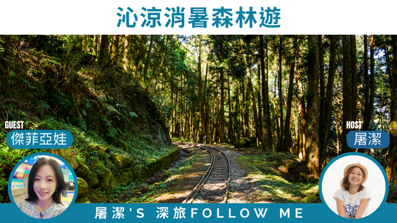 森林遊樂區｜消暑一夏，森林沁涼！森林遊樂區攻略