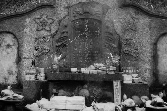 臺灣活力GO