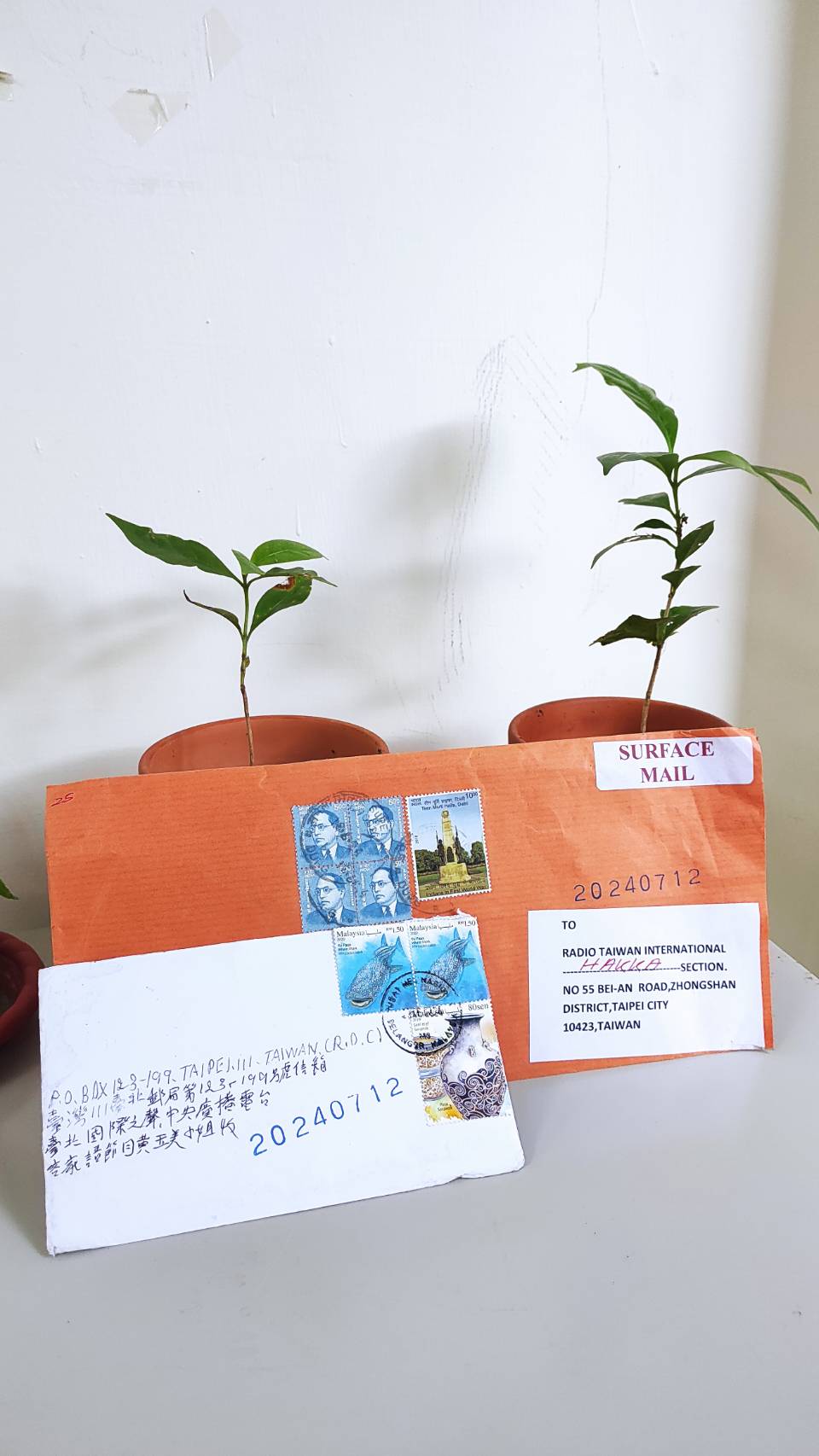 望啊望，等啊等，馬來西亞李潔梅大姊終於再次空中相會