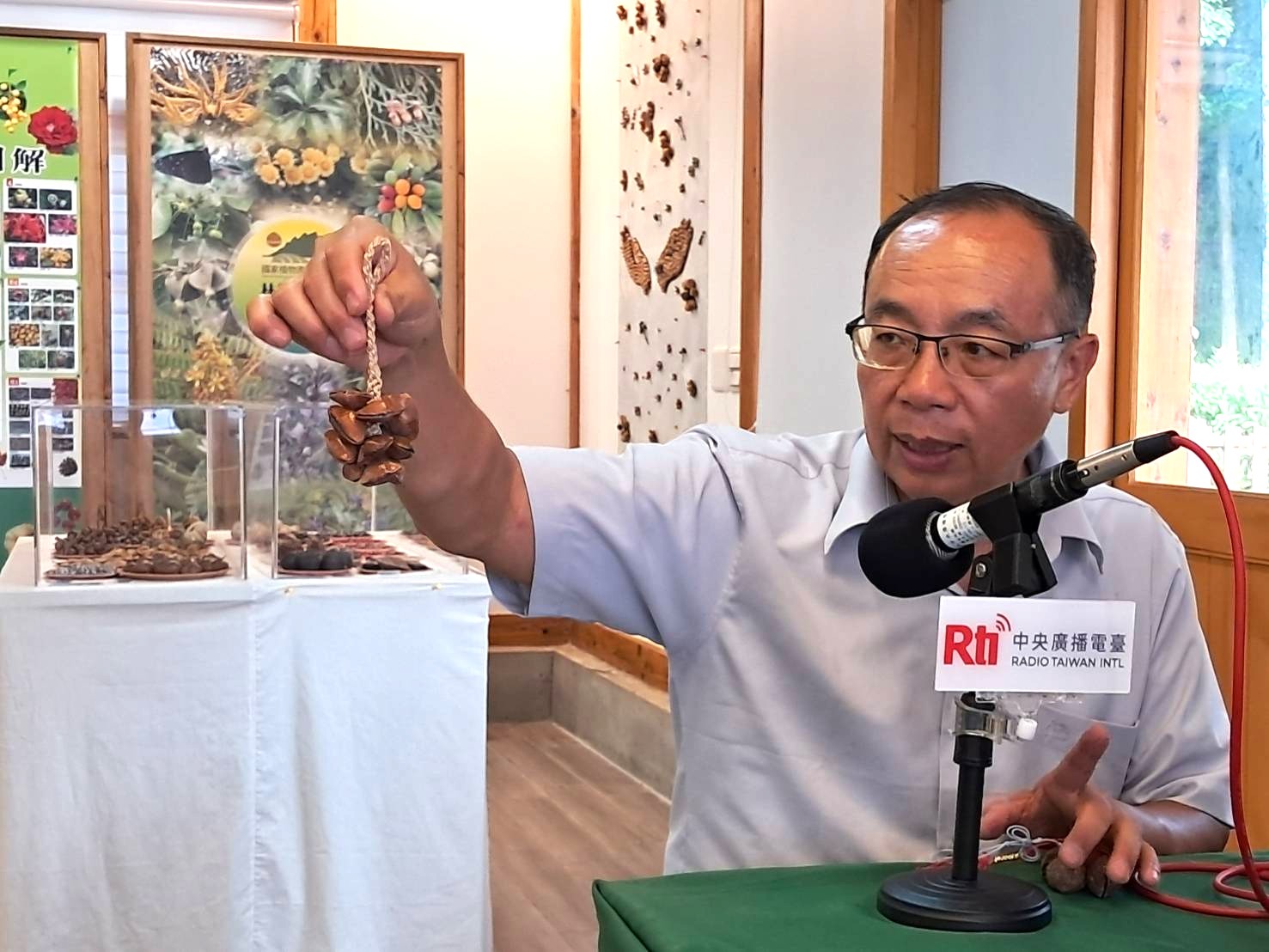 戀戀臺灣