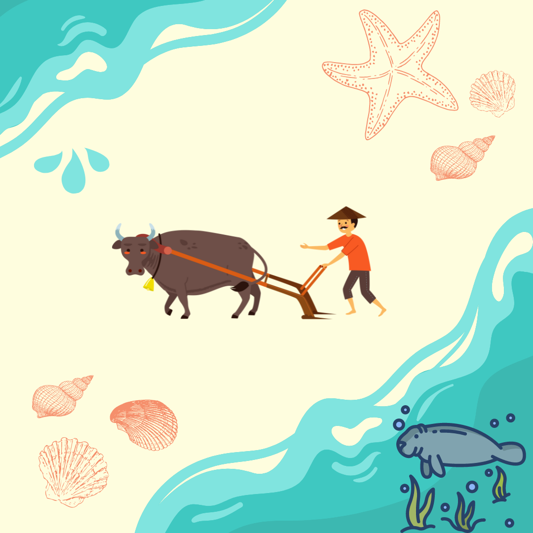 傳說海牛海裡游，我家海牛海邊走