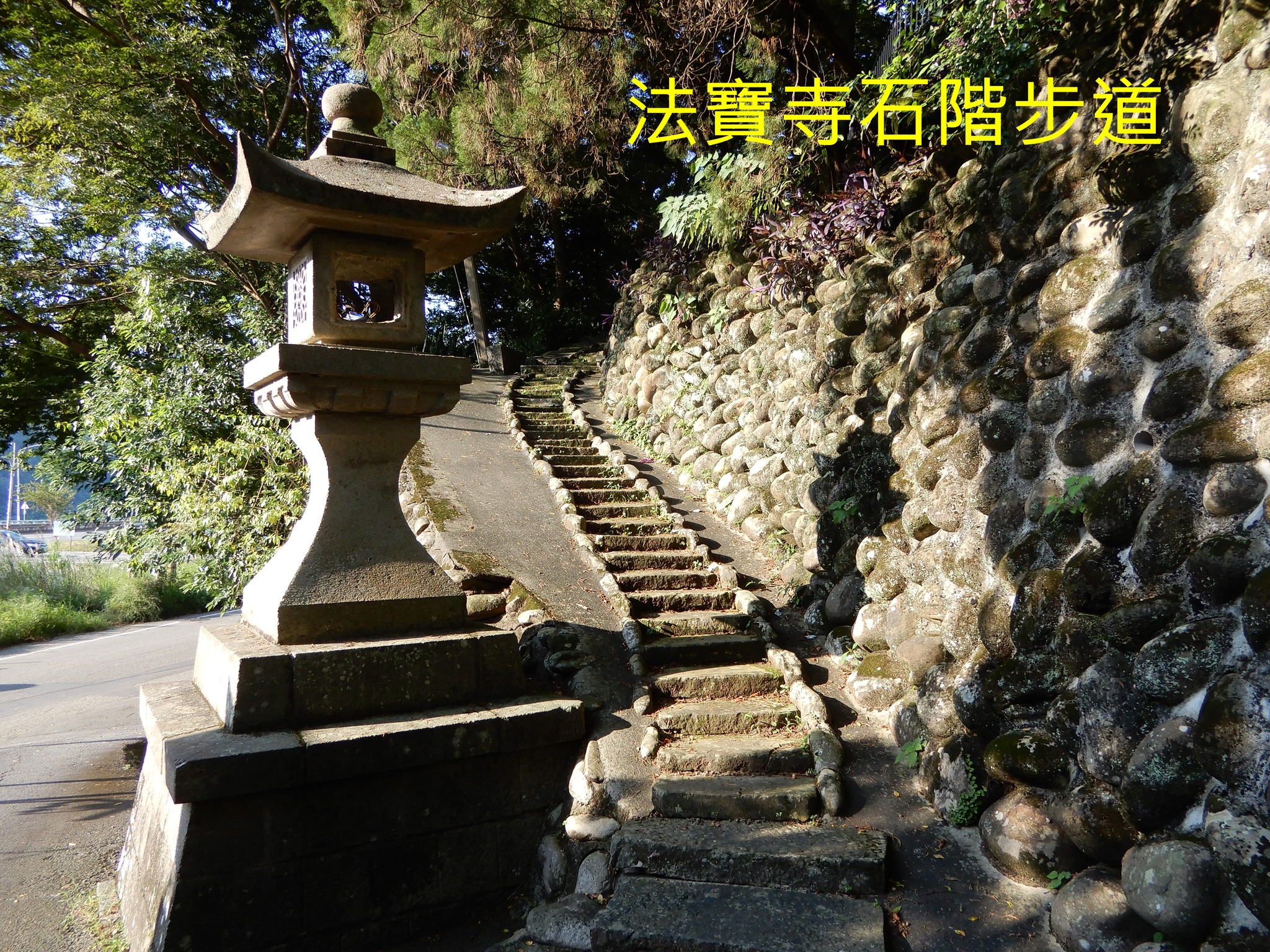 樟之細路 大湖老官路走讀