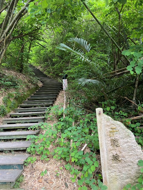 小臺灣大日子