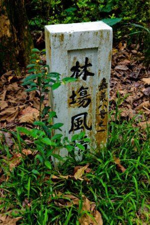 戀戀臺灣
