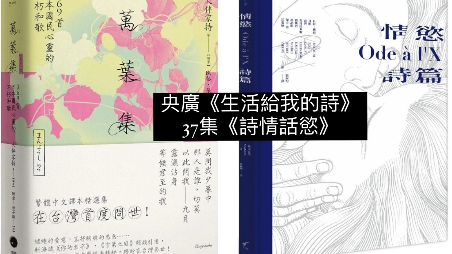 詩人導演 鴻鴻談  詩情話慾