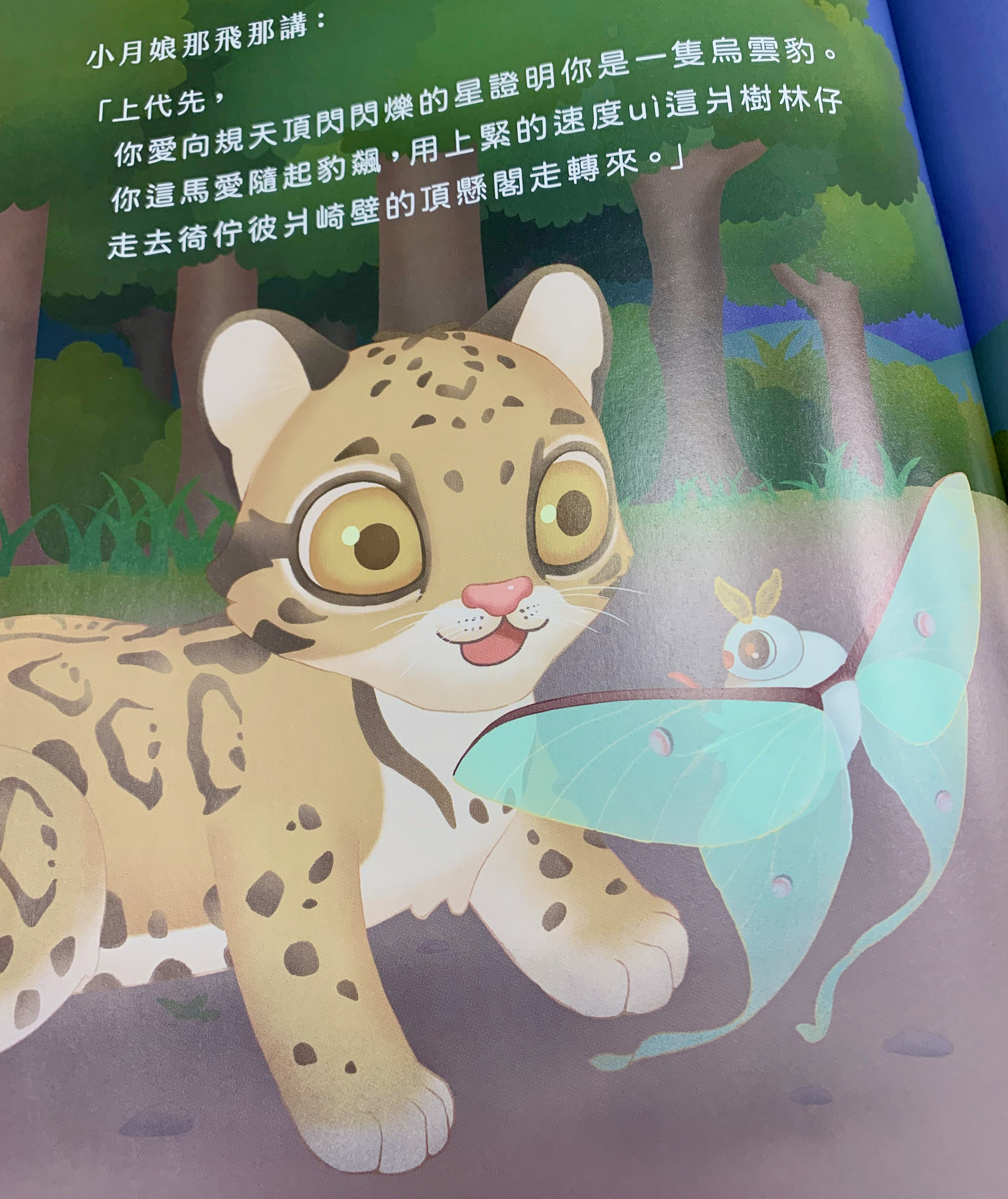 最後的烏雲豹