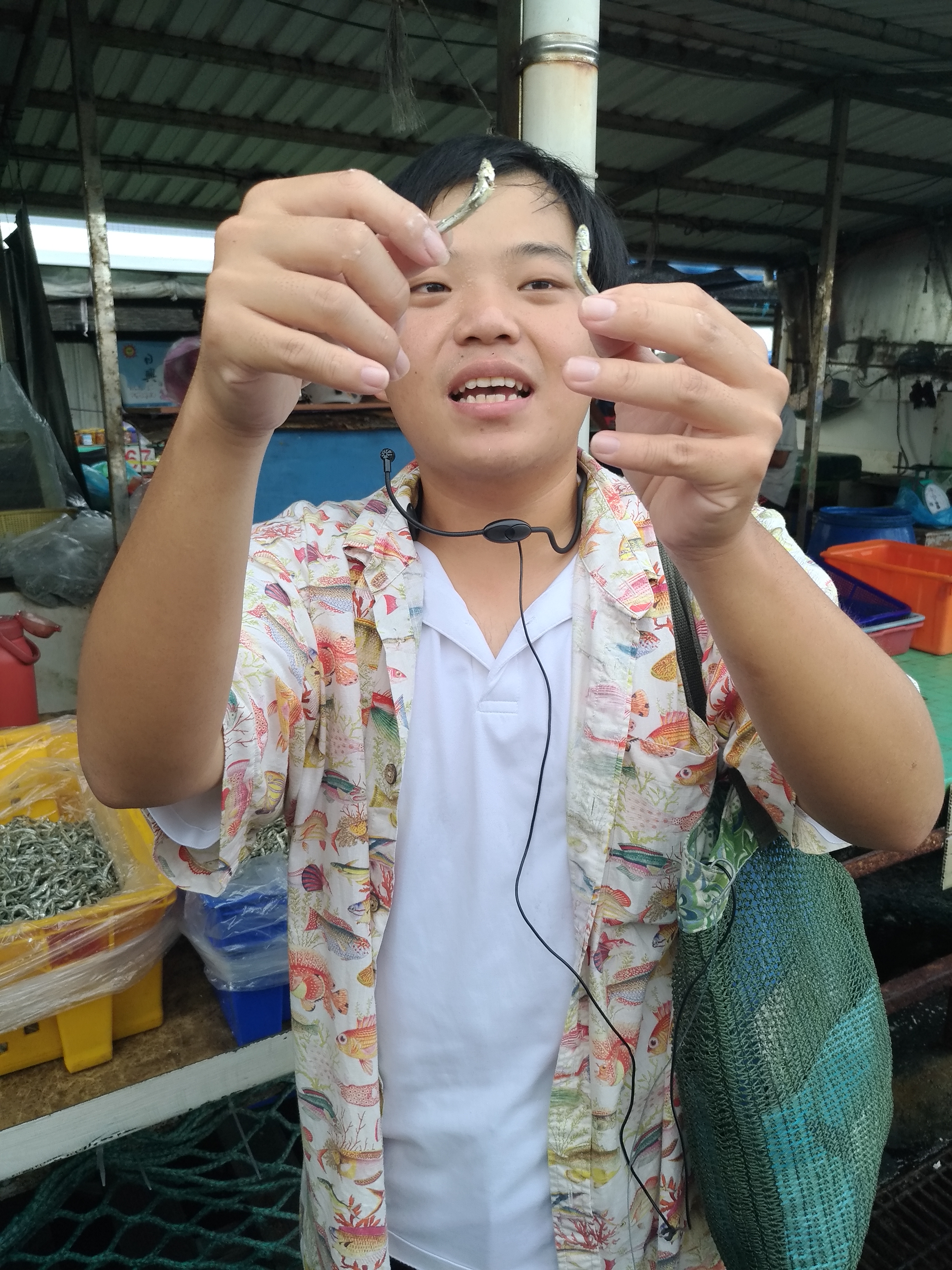 戀戀臺灣