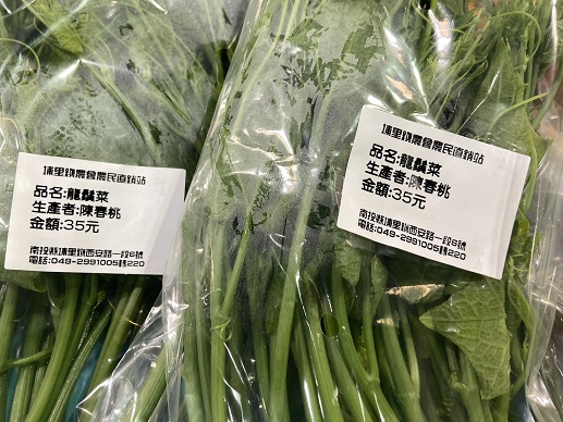 小臺灣大日子