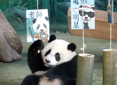 午間新聞提要
