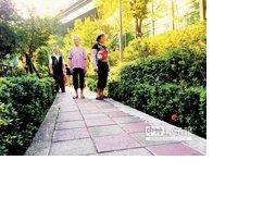 三重區維德里「花草步道」