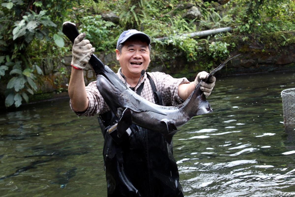 國內最大鱘龍魚生態農場千戶傳奇榮獲田媽媽認證