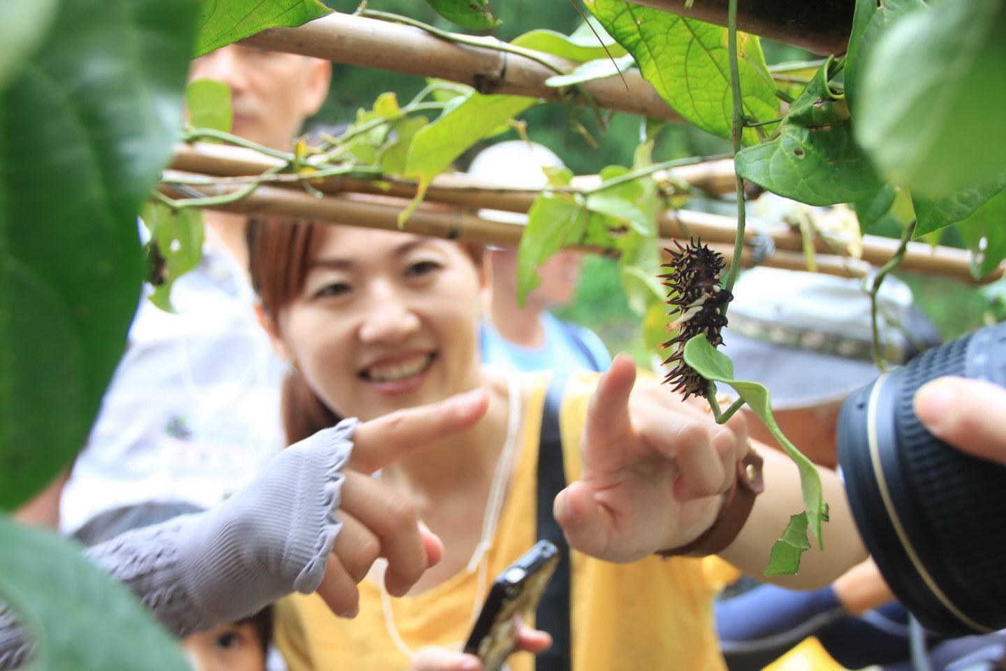2015日月潭埔里「蝴蝶低碳輕旅行」