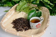 「食在很慢」。來去台東  找咖啡