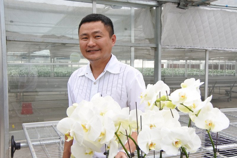 台商赴中國養殖蝴蝶蘭 台灣花農面臨對手