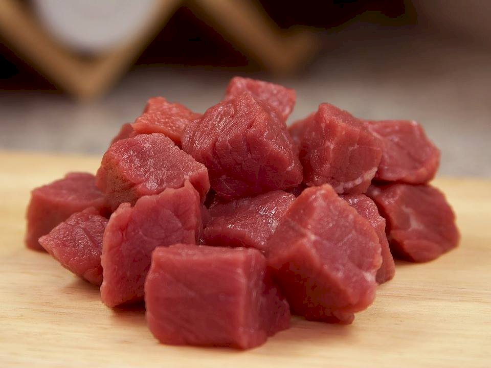 美再現狂牛症 食藥署：關注OIE處置