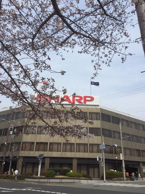 夏普可望連三季獲利 財報28日揭曉