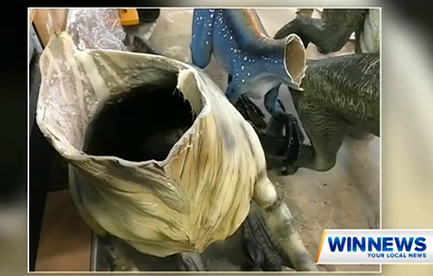 神秘客爬澳博物館 3迅猛龍模型遭斬首