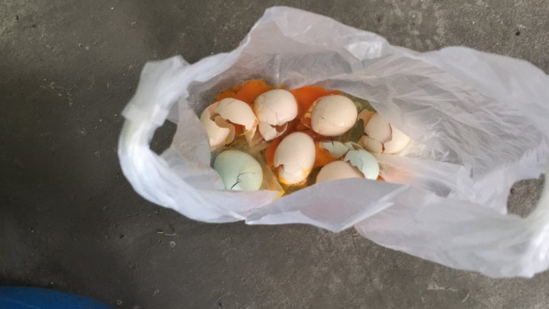 芬普尼染雞蛋 農委會拼週五前結案