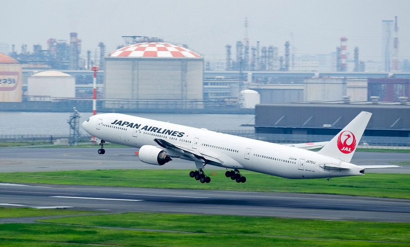 從日本統計數字看飛機鳥擊事件