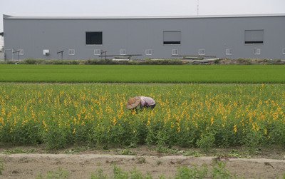 農地工廠首波拆17件 農委會盼達嚇阻作用