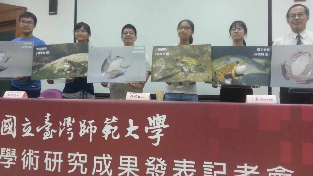 從蛙叫聲找端倪 台師大團隊發表新種樹蛙
