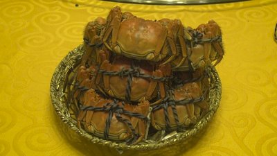陽澄湖太有名 山寨業者帶大閘蟹去泡澡