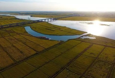中國古代水利工程 申報世界灌溉遺產成功