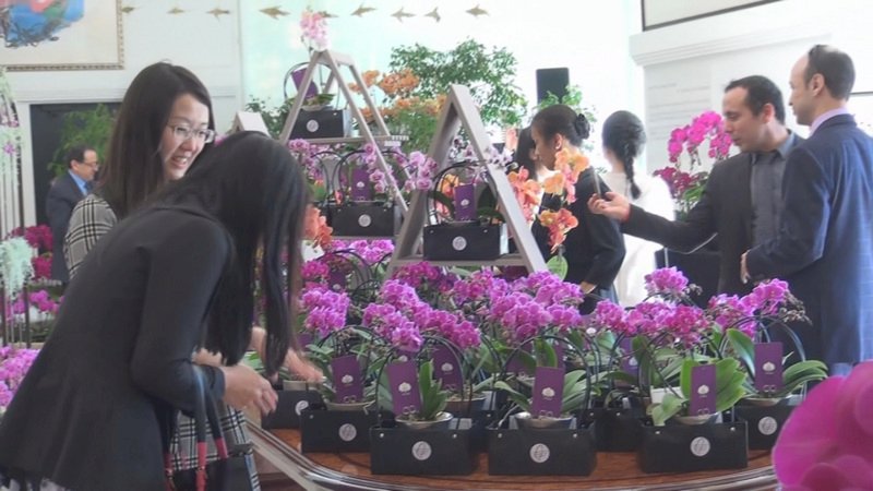 台灣蘭花展瑞士舉行 多國使節按讚