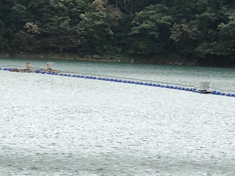 共伴雨量豐沛 翡翠石門水庫各進帳1億噸