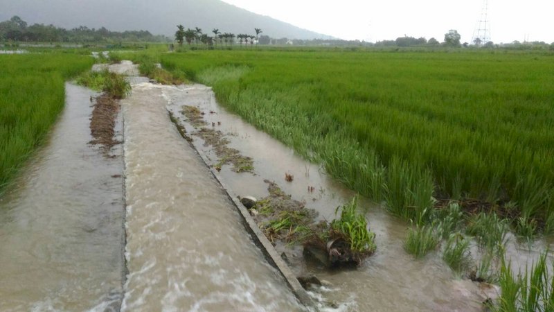 賴揆關切豪雨災損 指示全力協助復原