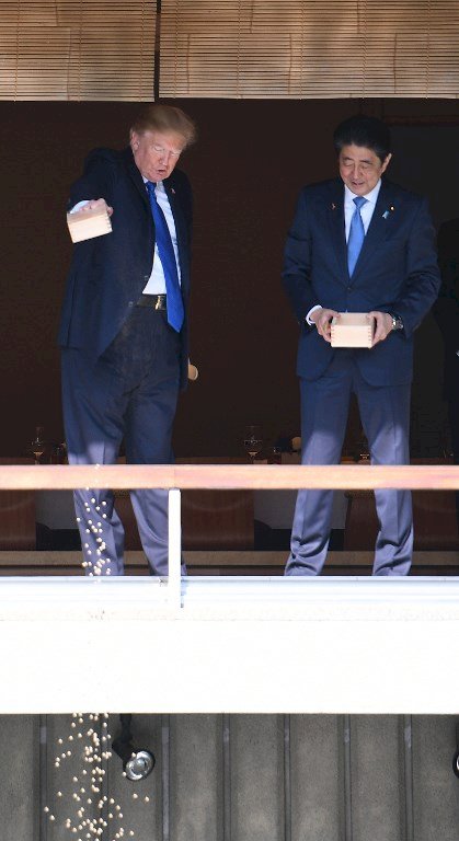 飼料全倒入池中 川普餵魚方式引熱議